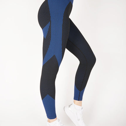 Aligné | Women’s Seamless Leggings – Embrace Your Form - Blue