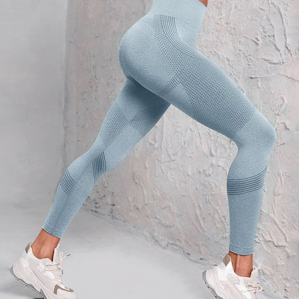 Dahlira | Women’s Seamless Leggings – Smooth Performance Fit - Blue