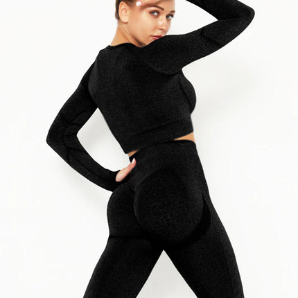 Apex | Long Sleeve Seamless Top – Sleek Performance with Timeless Style - Black