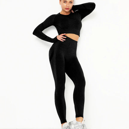Apex | Long Sleeve Seamless Top – Sleek Performance with Timeless Style - Black