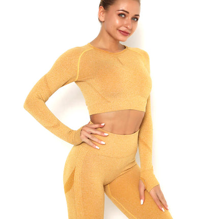 Apex | Long Sleeve Seamless Top – Neutral Elegance Meets Performance - Burly Wood