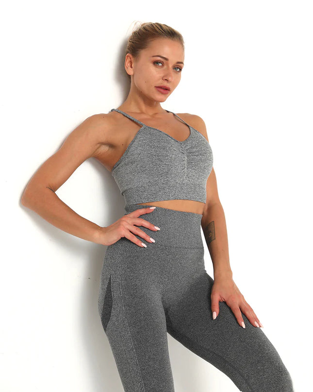 Apex | Seamless Sports Bra – Elevate Your Activewear in Dim Gray