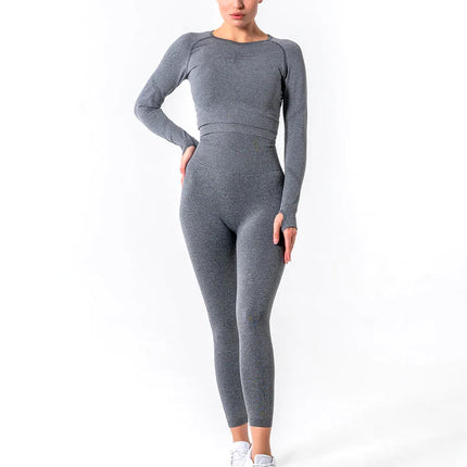 Apex | Long Sleeve Seamless Top – Subtle Strength Meets Everyday Comfort - Dim Grey
