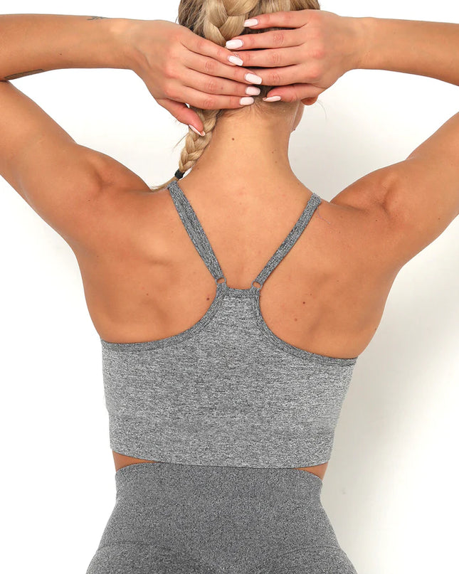 Apex | Seamless Sports Bra – Elevate Your Activewear in Dim Gray