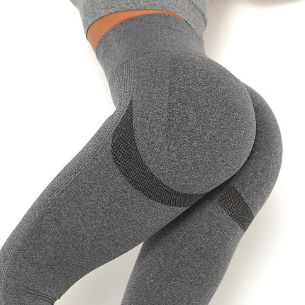 Apex | Seamless Leggings – Sleek Support with Everyday Comfort - Dim Gray