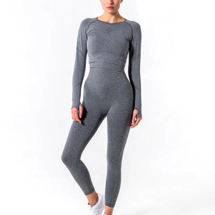 Apex | Long Sleeve Seamless Top – Subtle Strength Meets Everyday Comfort - Dim Grey