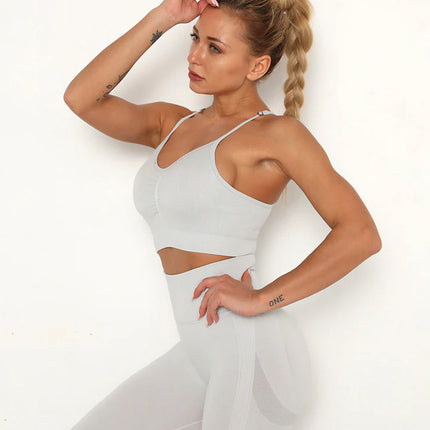 Apex | Seamless Sports Bra – Effortless Comfort & Style - Gainsboro