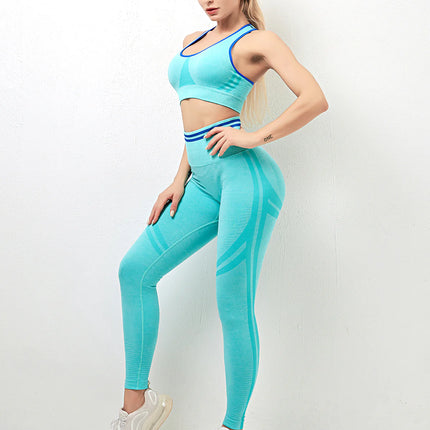 Kinetic | Seamless Scrunch Leggings for Women – North Bermuda