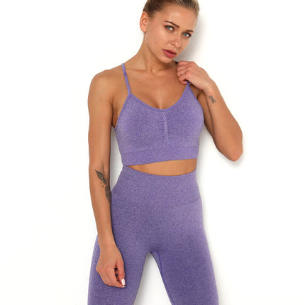Apex | Seamless Sports Bra – Elevate Your Activewear - Medium Purple