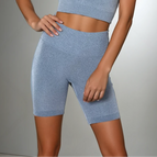 Light Slate Gray