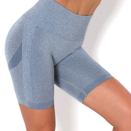 Apex | Seamless Shorts for Women – Sleek Performance - Light Slate Gray
