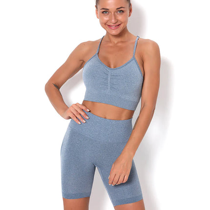 Apex | Seamless Shorts for Women – Sleek Performance - Light Slate Gray