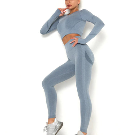 Apex | Long Sleeve Seamless Top – Sleek Performance with Subtle Sophistication - Light Slate Gray