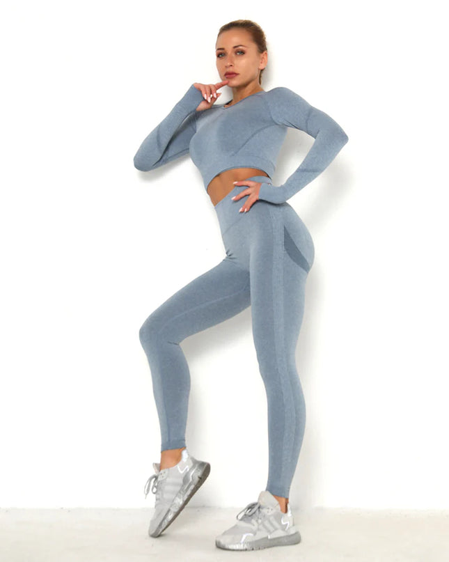 Apex | Long Sleeve Seamless Top – Sleek Performance with Subtle Sophistication - Light Slate Gray