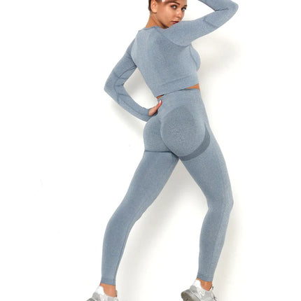 Apex | Long Sleeve Seamless Top – Sleek Performance with Subtle Sophistication - Light Slate Gray