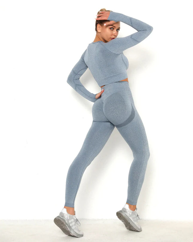 Apex | Long Sleeve Seamless Top – Sleek Performance with Subtle Sophistication - Light Slate Gray