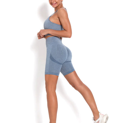 Apex | Seamless Shorts for Women – Sleek Performance - Light Slate Gray