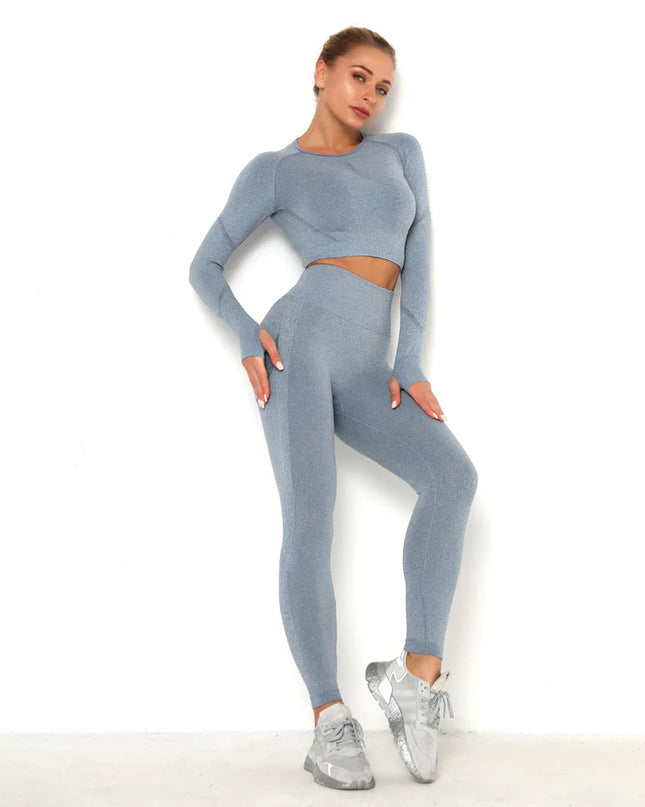 Apex | Long Sleeve Seamless Top – Sleek Performance with Subtle Sophistication - Light Slate Gray