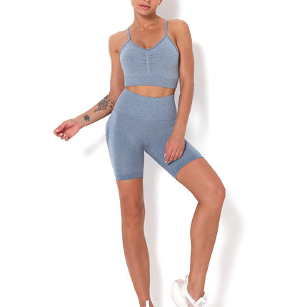 Apex | Seamless Shorts for Women – Sleek Performance - Light Slate Gray
