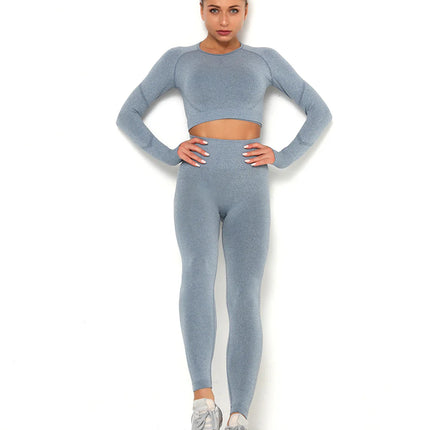 Apex | Long Sleeve Seamless Top – Sleek Performance with Subtle Sophistication - Light Slate Gray