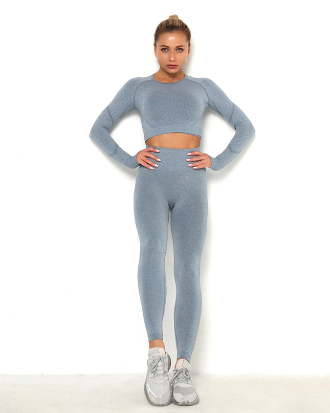 Apex | Long Sleeve Seamless Top – Sleek Performance with Subtle Sophistication - Light Slate Gray