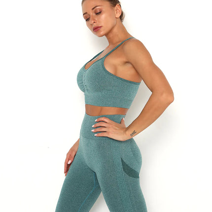 Apex | Seamless Sports Bra – Comfort Meets Performance - Teal