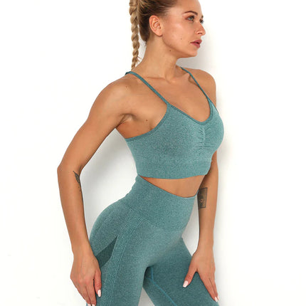 Apex | Seamless Sports Bra – Comfort Meets Performance - Teal