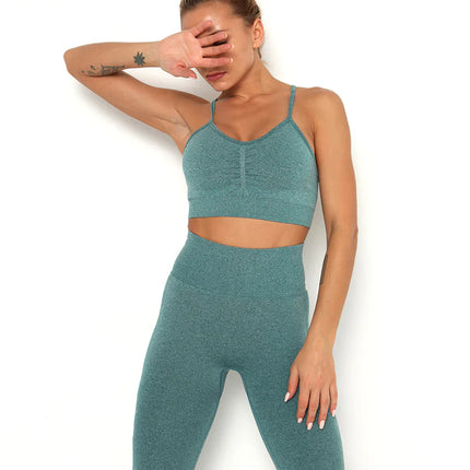 Apex | Seamless Sports Bra – Comfort Meets Performance - Teal