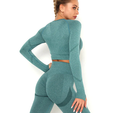 Apex | Long Sleeve Seamless Top – Refreshing Style with Second-Skin Comfort - Teal