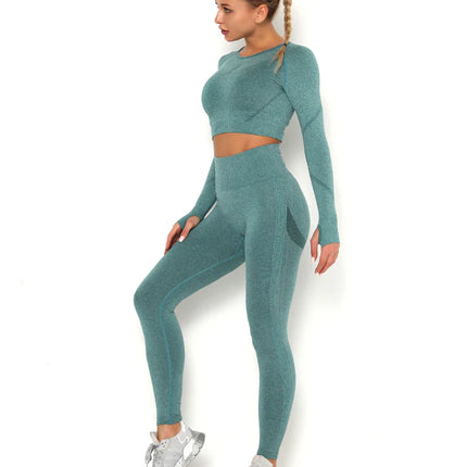 Apex | Long Sleeve Seamless Top – Refreshing Style with Second-Skin Comfort - Teal