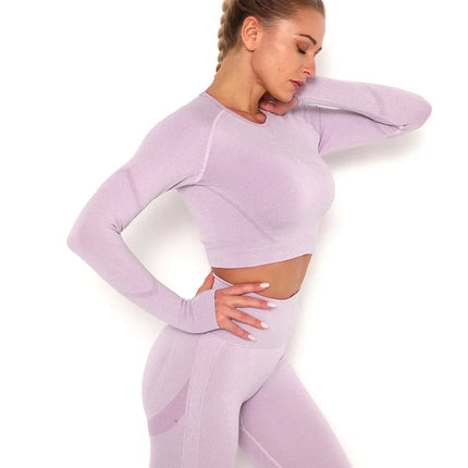 Apex | Long Sleeve Seamless Top – Soft Strength in a Feminine Hue - Thistle