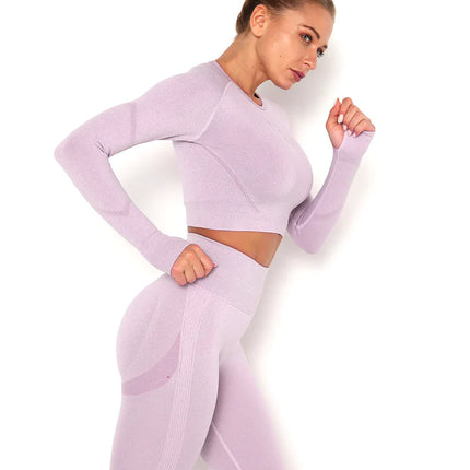 Apex | Long Sleeve Seamless Top – Soft Strength in a Feminine Hue - Thistle
