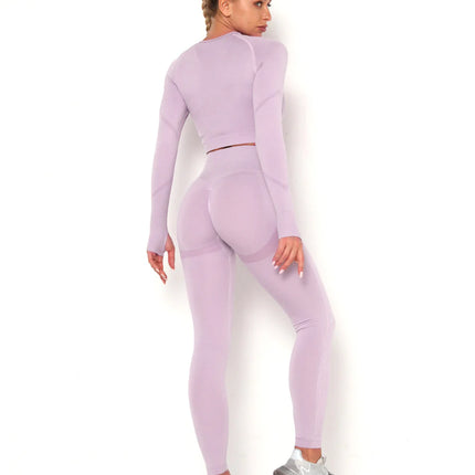 Apex | Long Sleeve Seamless Top – Soft Strength in a Feminine Hue - Thistle
