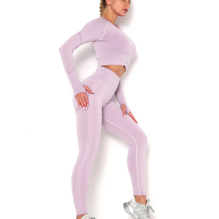 Apex | Long Sleeve Seamless Top – Soft Strength in a Feminine Hue - Thistle