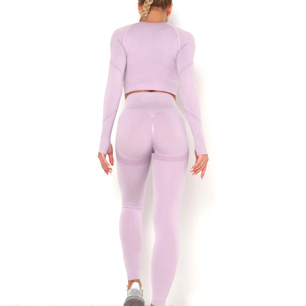 Apex | Long Sleeve Seamless Top – Soft Strength in a Feminine Hue - Thistle