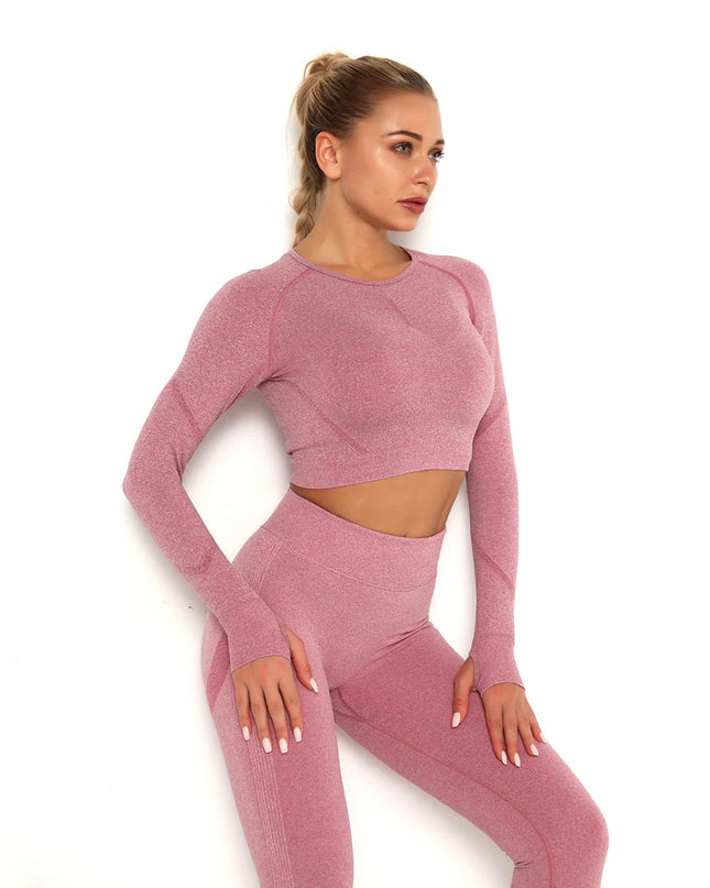 Apex | Long Sleeve Seamless Top – Contour Meets Comfort - Pale Violet Red