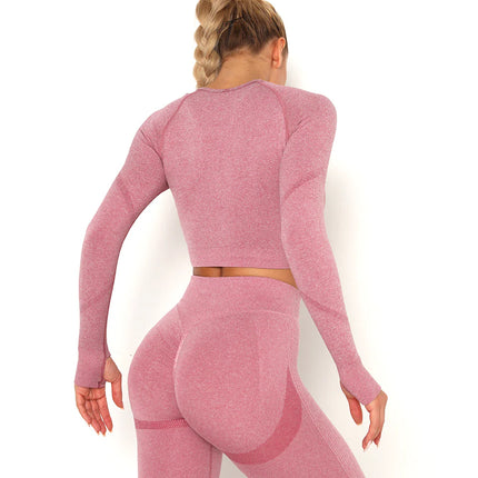Apex | Long Sleeve Seamless Top – Contour Meets Comfort - Pale Violet Red