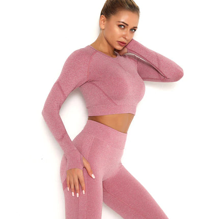 Apex | Long Sleeve Seamless Top – Contour Meets Comfort - Pale Violet Red