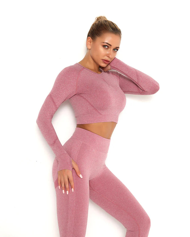 Apex | Long Sleeve Seamless Top – Contour Meets Comfort - Pale Violet Red