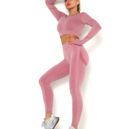 Apex | Long Sleeve Seamless Top – Contour Meets Comfort - Pale Violet Red