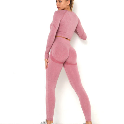 Apex | Long Sleeve Seamless Top – Contour Meets Comfort - Pale Violet Red