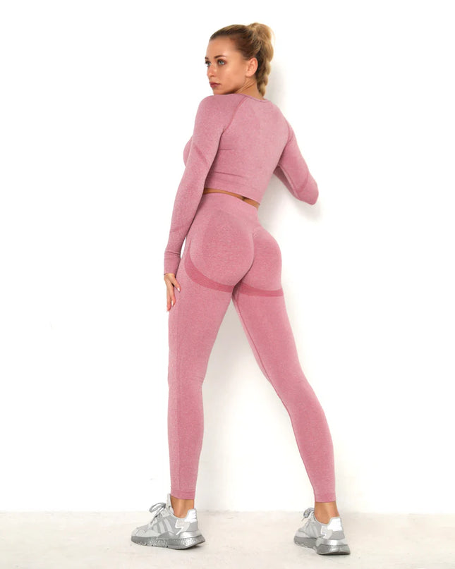 Apex | Long Sleeve Seamless Top – Contour Meets Comfort - Pale Violet Red