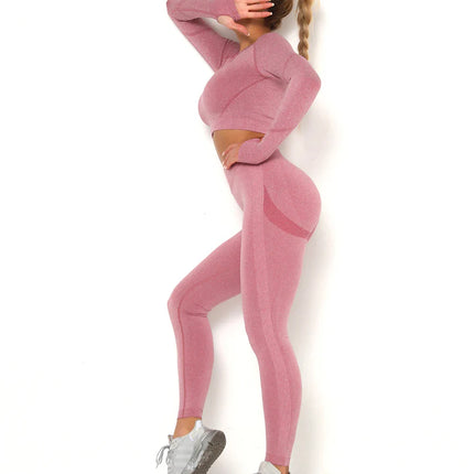 Apex | Long Sleeve Seamless Top – Contour Meets Comfort - Pale Violet Red